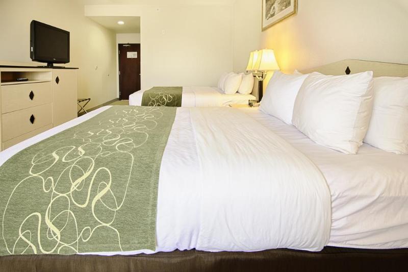 Comfort Inn & Suites Airport Convention Center Reno Esterno foto